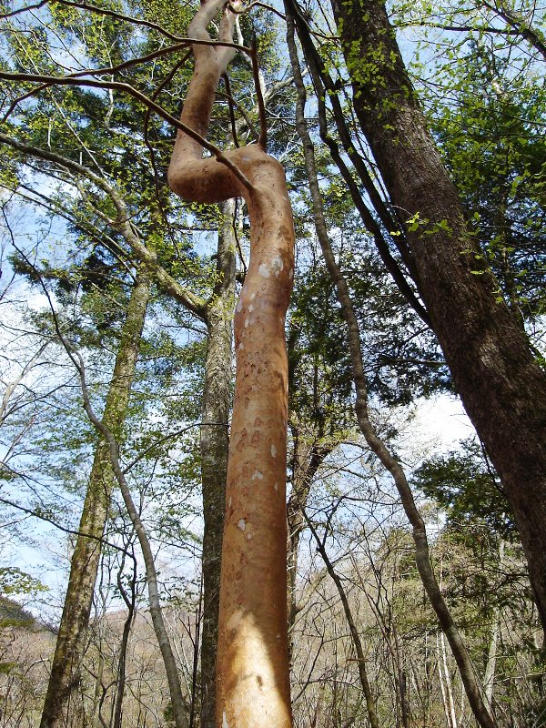 f0039234_2115469.jpg