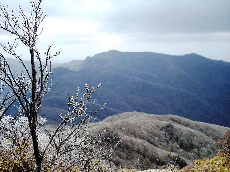 f0039234_21183555.jpg