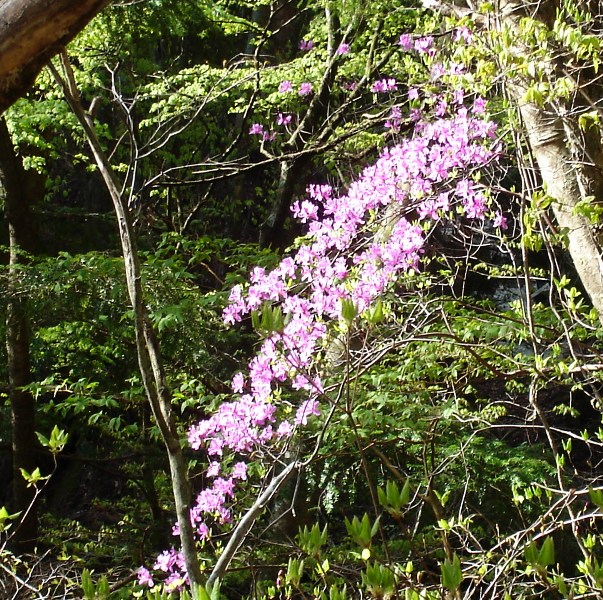 f0039234_2125733.jpg