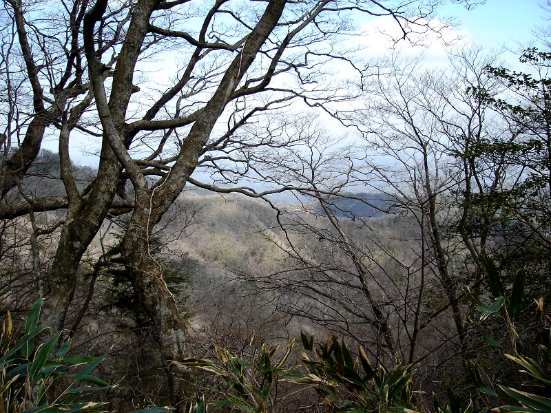 f0039234_2152227.jpg