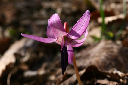 d0069235_22281675.jpg