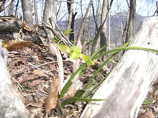 f0003138_16111713.jpg