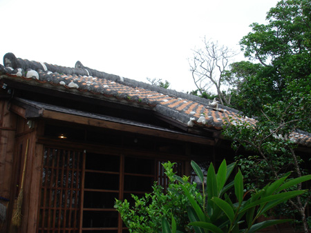b0049152_12332786.jpg