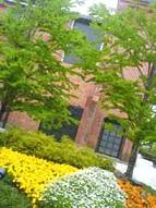 f0035963_1105699.jpg