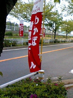 a0064865_1223998.jpg