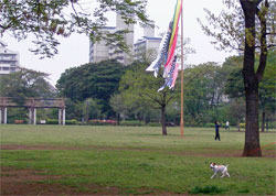 b0065067_15313.jpg