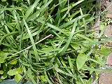 e0041168_10535047.jpg
