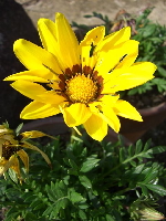 f0075573_18142734.jpg