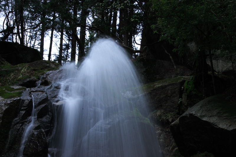 c0030874_6311532.jpg