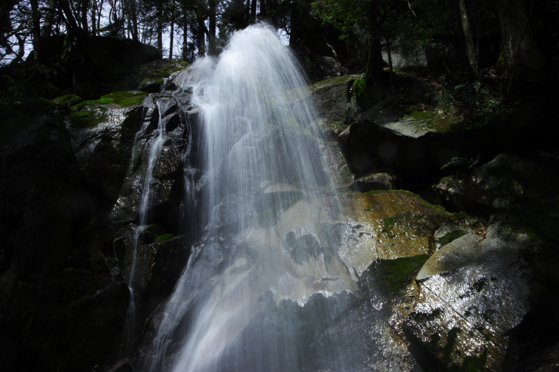 c0030874_631323.jpg