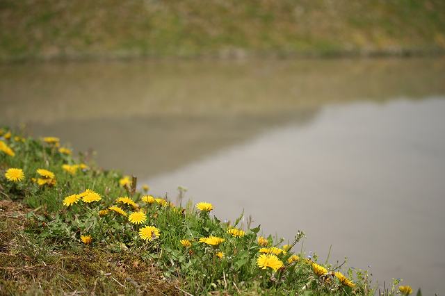 e0024081_20155086.jpg