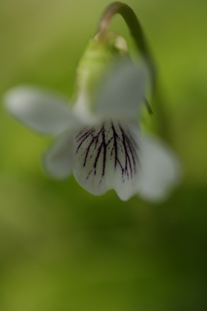 e0024081_20201097.jpg