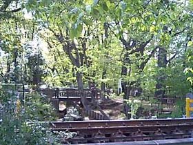 f0088586_8143351.jpg