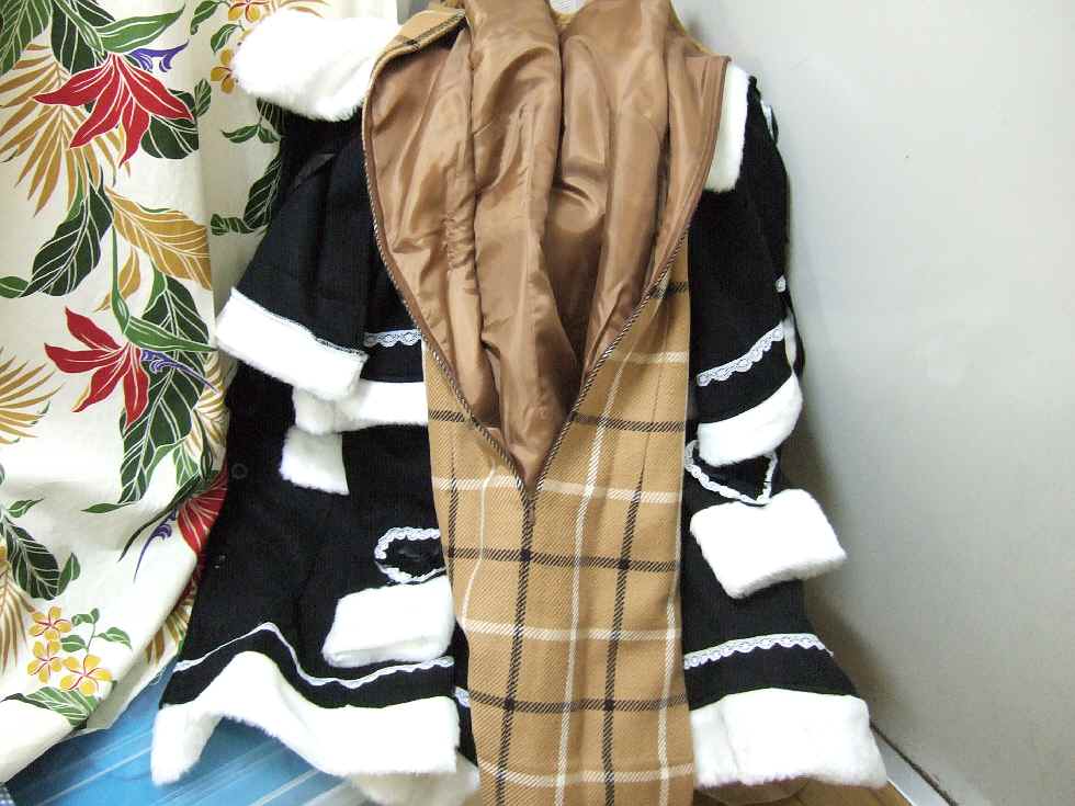e0045587_1111164.jpg