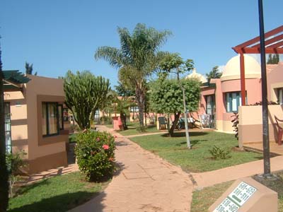 e0028897_135716.jpg