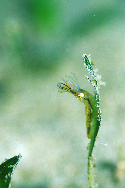 c0064907_2242780.jpg