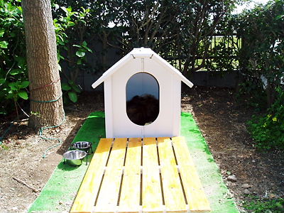 c0029913_132717.jpg