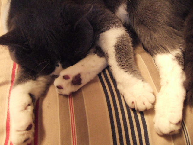 f0032020_1421104.jpg