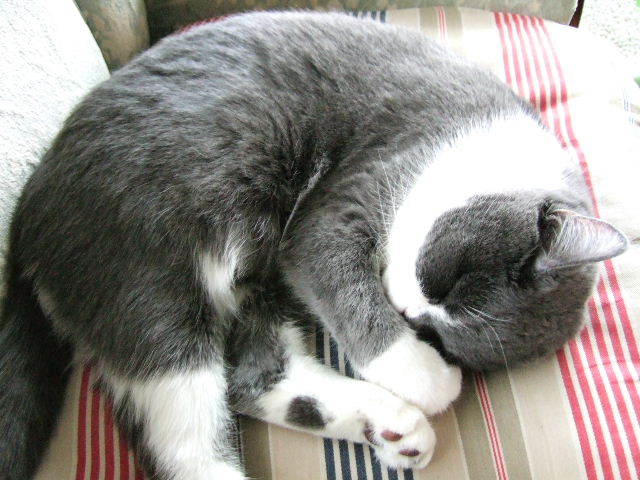 f0032020_14294918.jpg