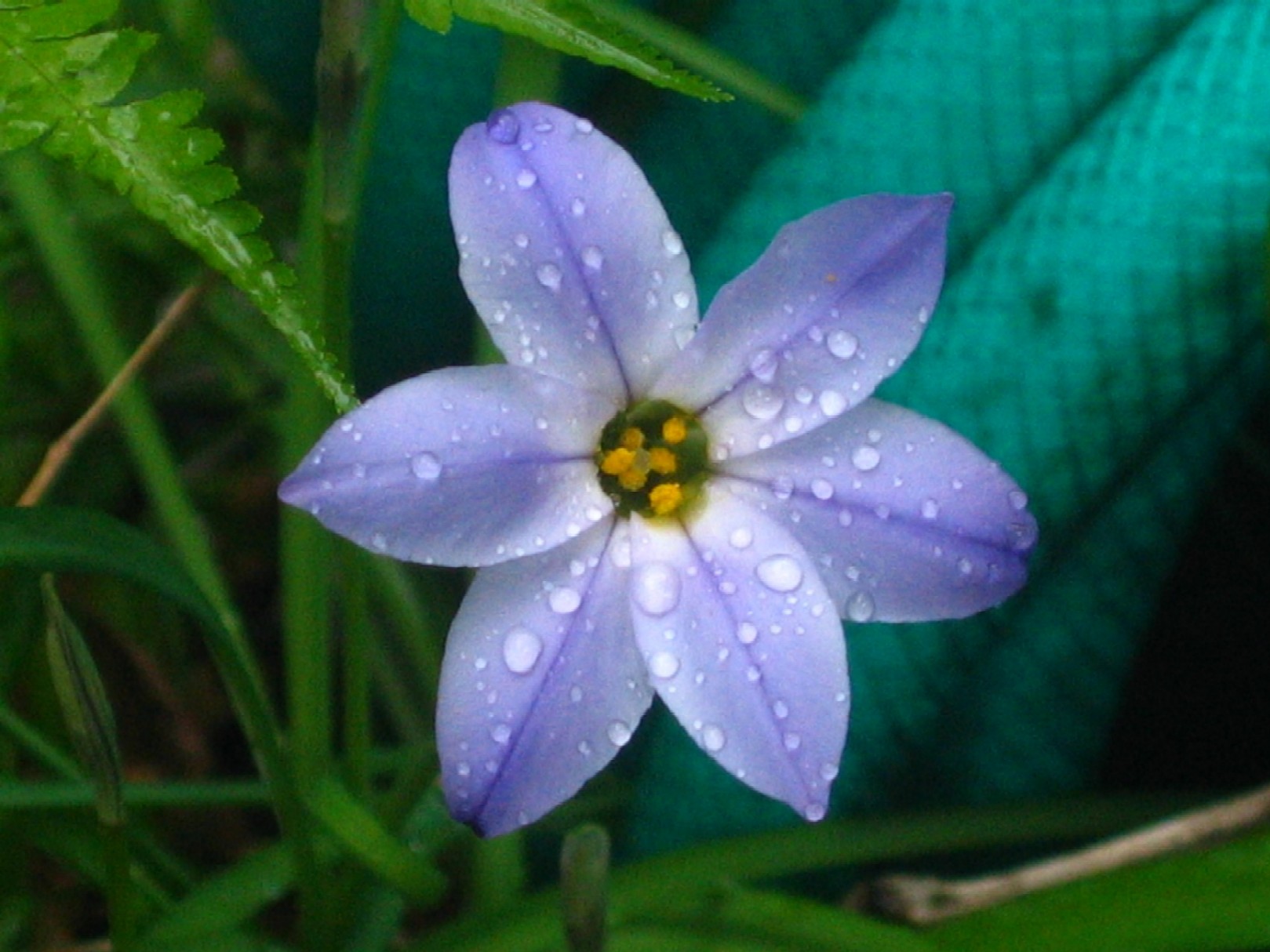 d0044222_010342.jpg