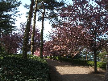 e0047322_2313743.jpg