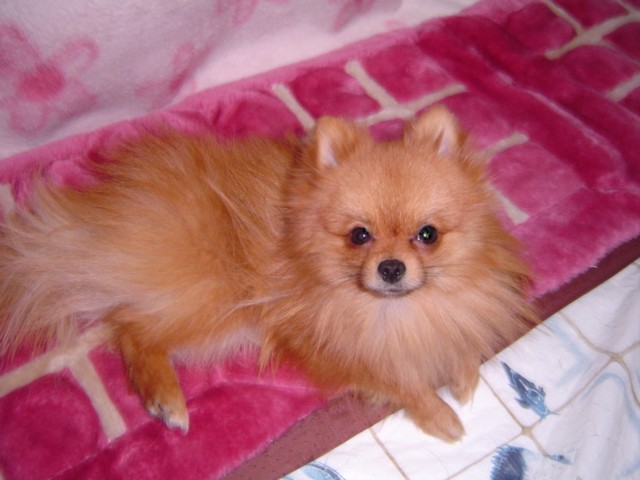 f0012924_6393757.jpg