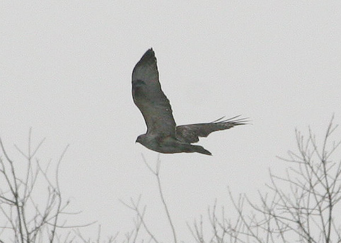 d0069235_2352280.jpg