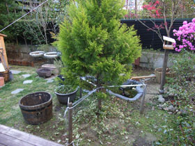 c0063348_625791.jpg