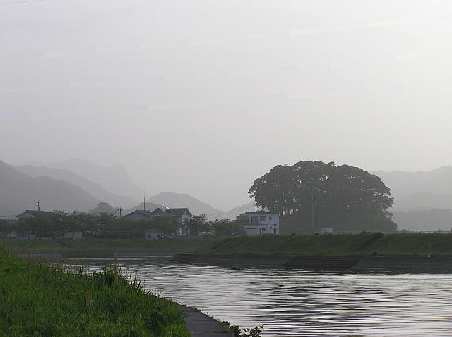 a0052156_23331893.jpg