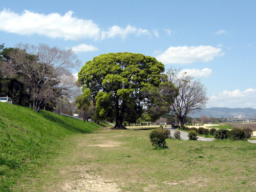 f0007956_18202879.jpg