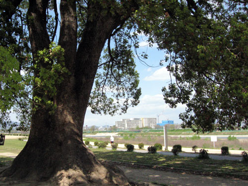 f0007956_18205822.jpg