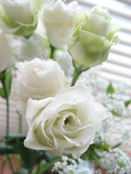 f0009457_23165283.jpg