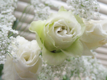 f0009457_2322527.jpg