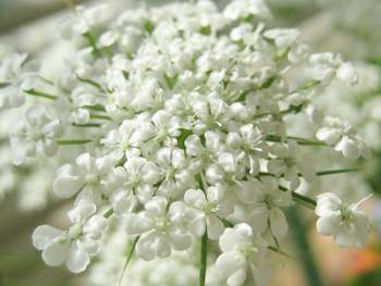 f0009457_23334680.jpg