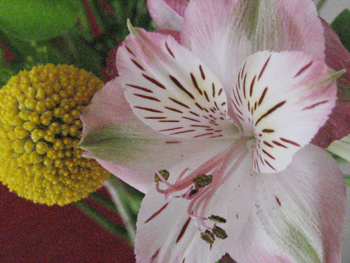 f0009457_2337475.jpg