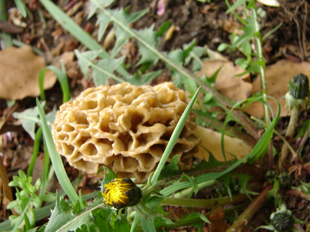 b0061261_23383389.jpg