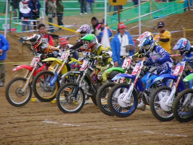 b0024266_23255725.jpg