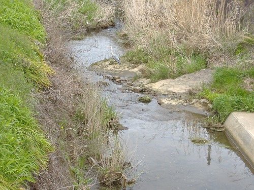 e0041168_8532631.jpg