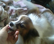 f0077270_10969.jpg