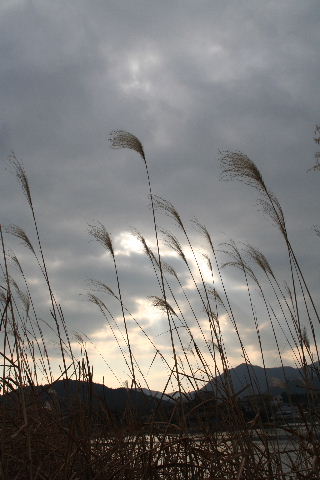b0055171_2151130.jpg