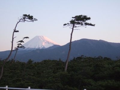 e0004173_8475554.jpg