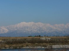 c0072379_144421.jpg