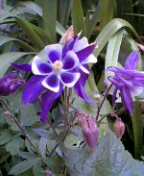 f0004180_12444323.jpg