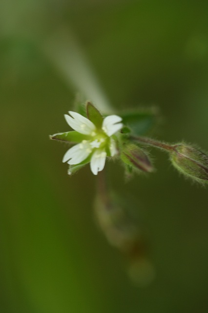 e0024081_1619176.jpg