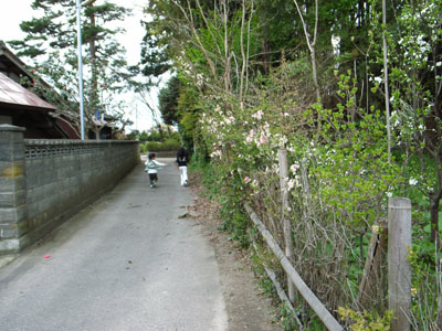 e0082981_201356100.jpg