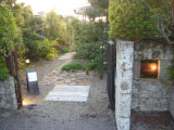 e0033384_2351567.jpg