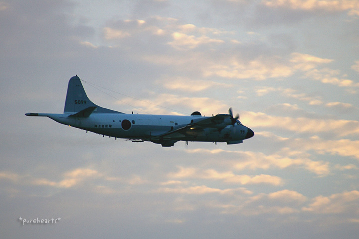 c0052787_20154165.jpg