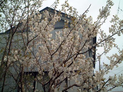 f0019498_19553863.jpg