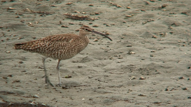 c0047906_21323039.jpg