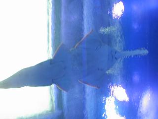 c0013217_15112870.jpg